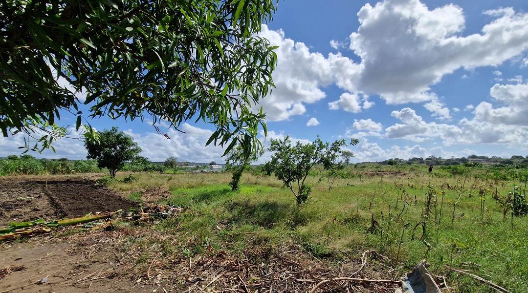 Mozambique_1-crop