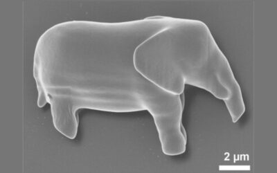 3D printing is now possible inside living cells