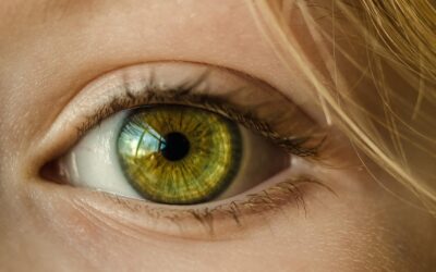 Artificial Retina Uses Biological Liquid Medium for Direct-to-Display ‘Vision’