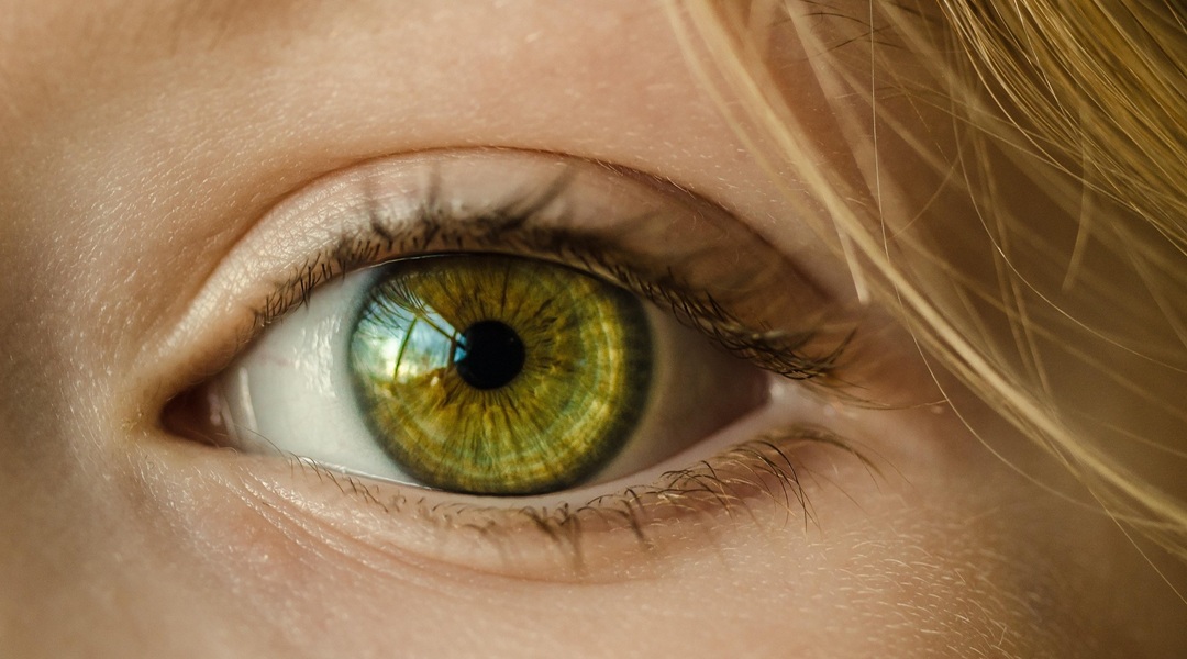 Artificial Retina Uses Biological Liquid Medium for Direct-to-Display ‘Vision’
