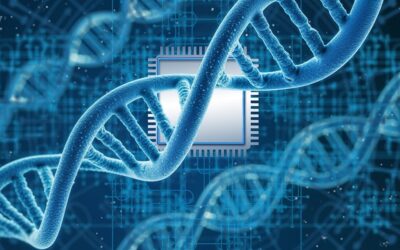 AI pipelines correctly identify genetic basis for disease even without medical training