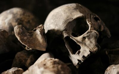 First objective framework for decoding fossil brain imprints