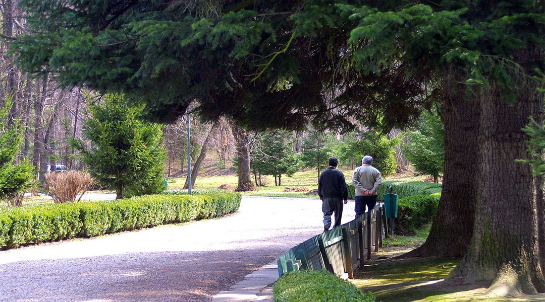 Alzheimers-Smanatha_Ing-Flickr-6921658363_4c804197f3_h Two people walking along a road under a tree