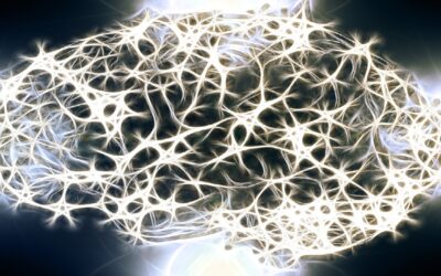 Biodegradable brain probes eliminate the need for risky surgical removal