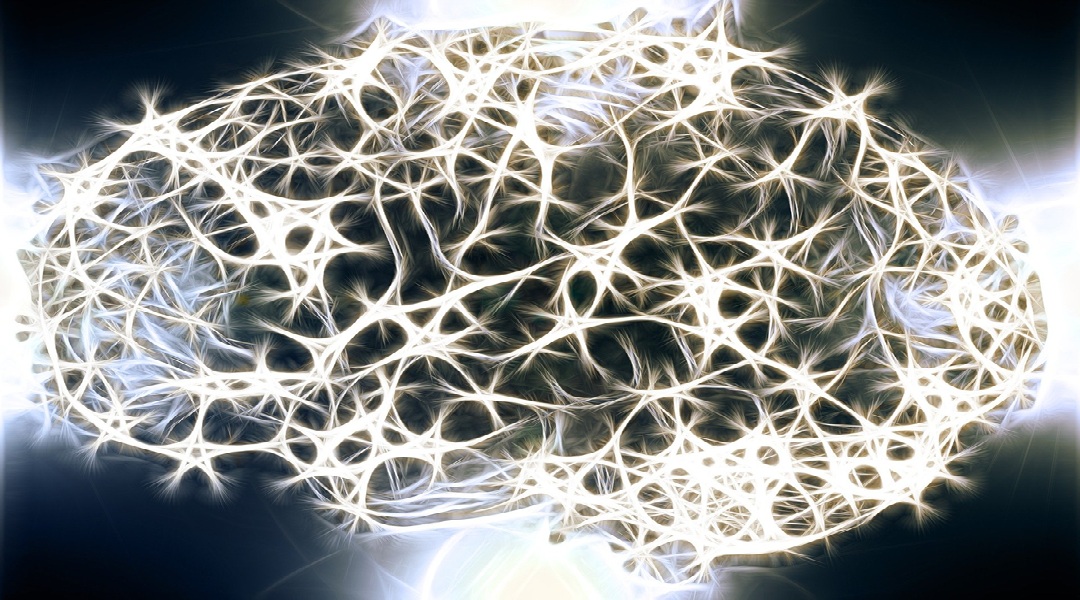 brain-shiny-blackwhite-1739997_1920-geralt-via-Pixabay-1080×600