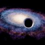 dark matter could be composed of primordial black holes
