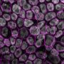 Cells act as a new lung model.