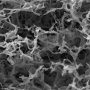 SEM image of a gel-based delivery system to treat HIV.