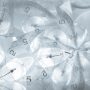 Abstract image of time.