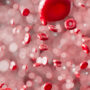 Abstract image of blood cells.