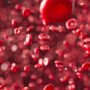 Computer-generated image of red blood cells.