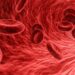 Red blood cells passing through a blood vessel, artistic impression.