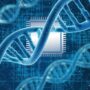 DNA in blue over a computer chip